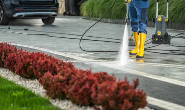 Best Pressure Washing Driveway  in Wapakoneta, OH