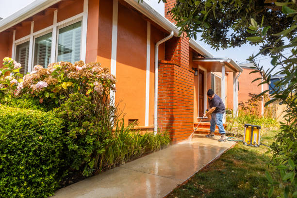 Best Pressure Washing Driveway  in Wapakoneta, OH